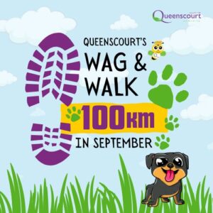 Wag & Walk