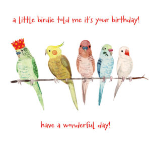 PARROTY TIME