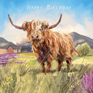 HAMISH THE HIGHLAND COW