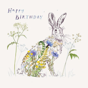 MEADOW HARE