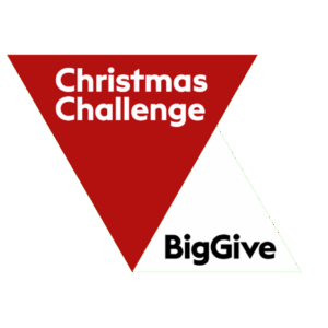 The Big Give 2025