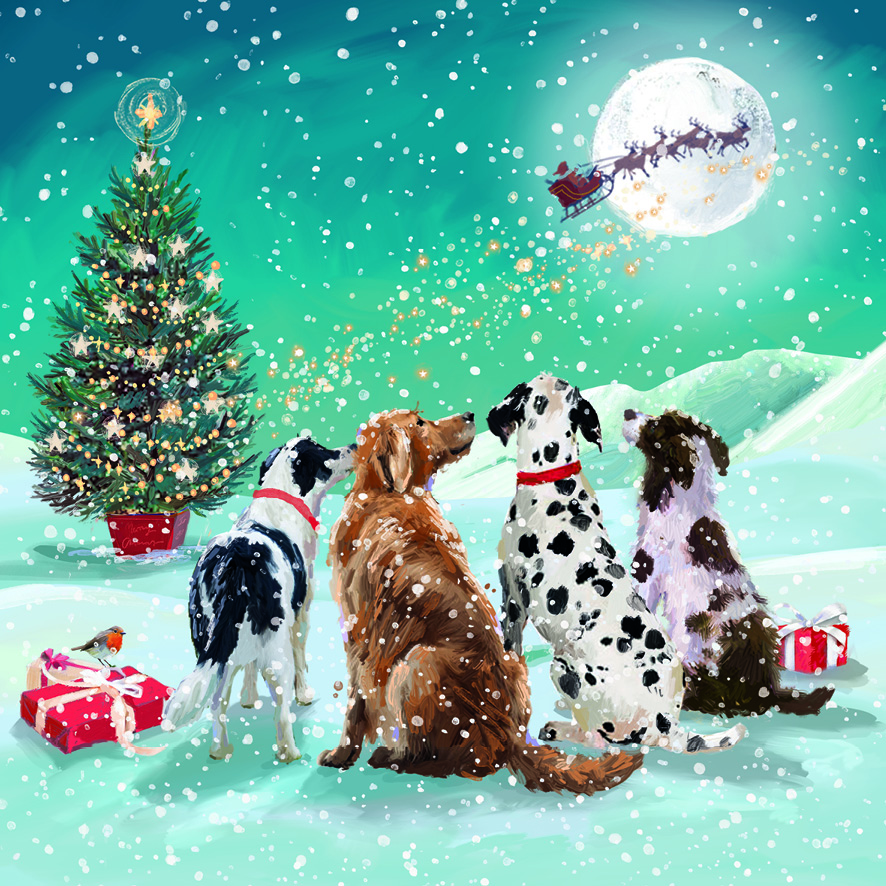 Watching Santa