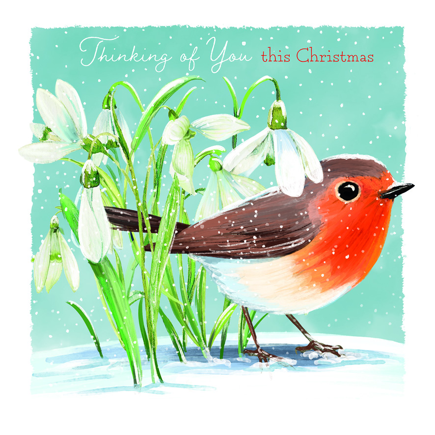 Snowdrop Robin